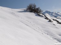 2025-03-30 Mont Pepoiri 075